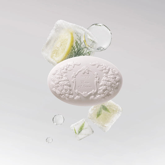 Thaw of Snow Fragrance Bar Soap 30 g by ROOPY